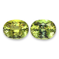 8.93&nbsp;Ct.Tw.Total Carat Weight Apatite Pair from Madagascar Video