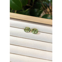 8.93&nbsp;Ct.Tw.Total Carat Weight Apatite Pair from Madagascar Life Style