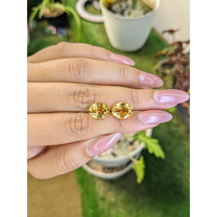 5.85 Ct.Tw. Citrine Pair from Brazil