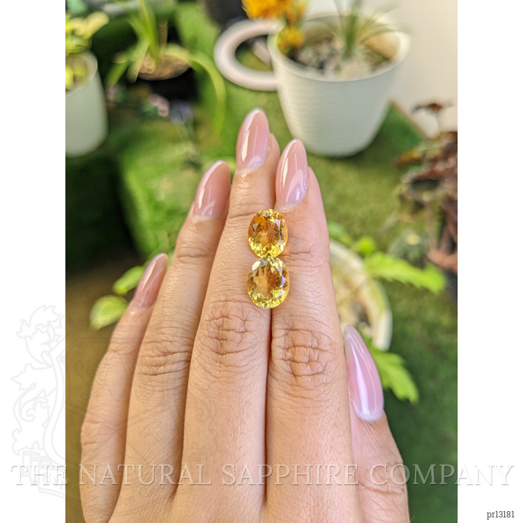 6.37 Ct.Tw. Citrine Pair from Brazil