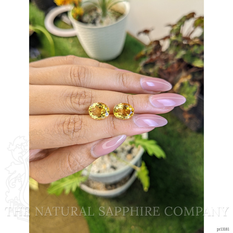 6.37 Ct.Tw. Citrine Pair from Brazil