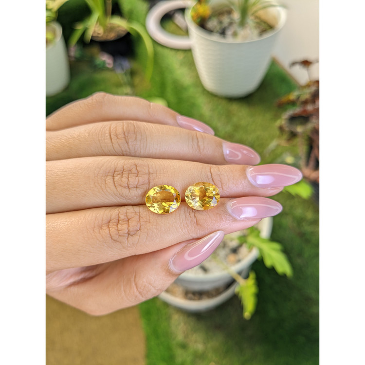 6.14 Ct.Tw. Citrine Pair from Brazil