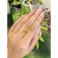 5.49 Ct.Tw.Total Carat Weight Citrine Pair from Brazil Life Style