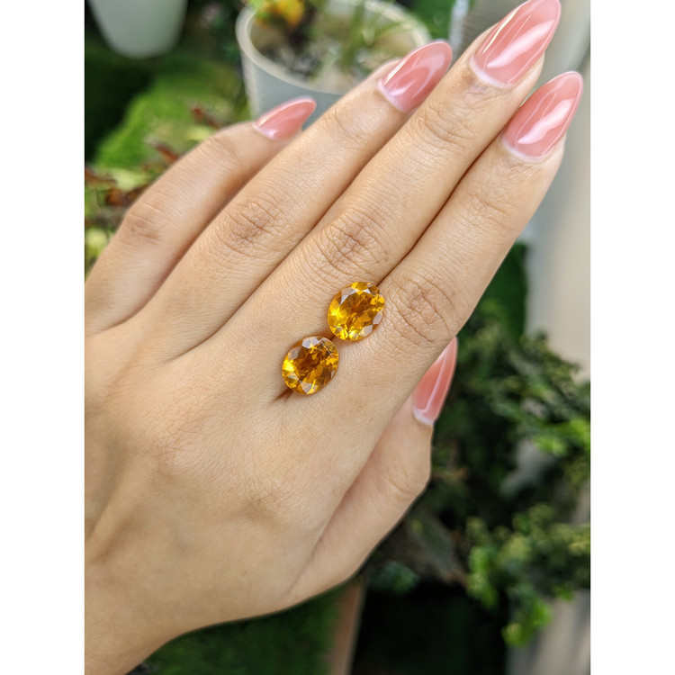 6.10 Ct.Tw. Citrine Pair from Brazil
