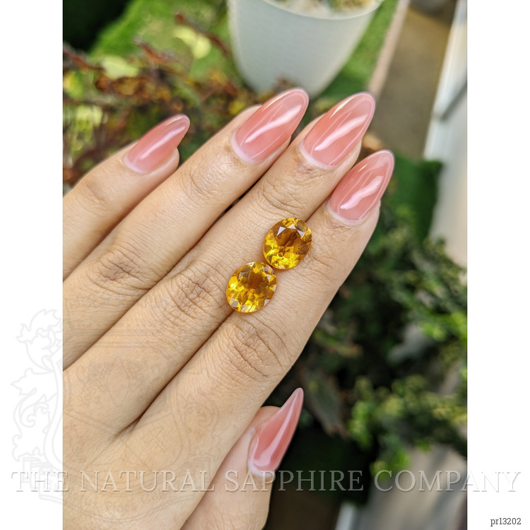 6.10 Ct.Tw. Citrine Pair from Brazil