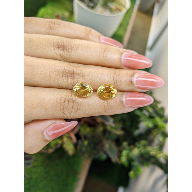 6.33 Ct.Tw. Citrine Pair from Brazil