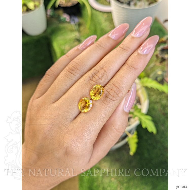 5.90 Ct.Tw. Citrine Pair from Brazil