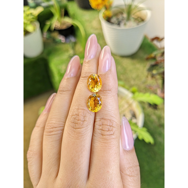 6.90 Ct.Tw. Citrine Pair from Brazil