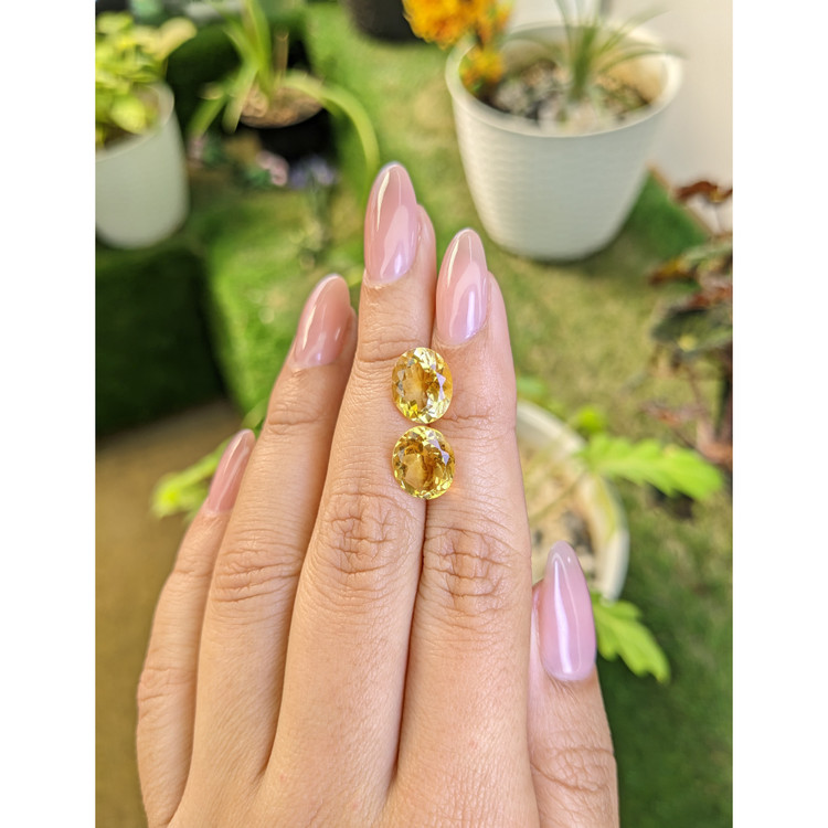 6.34 Ct.Tw. Citrine Pair from Brazil