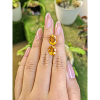 6.55 Ct.Tw.Total Carat Weight Yellow Citrine Pair from Brazil Life Style