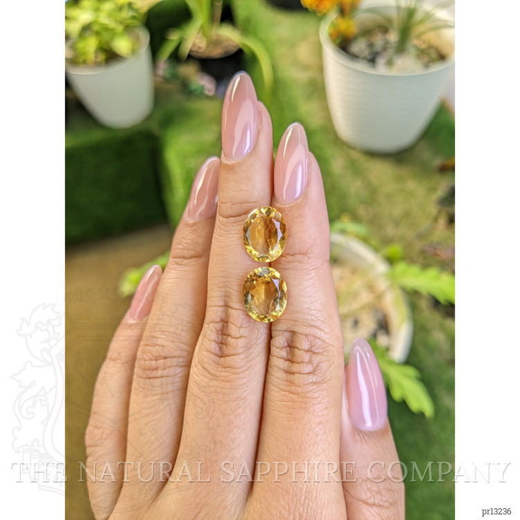 6.34 Ct.Tw. Citrine Pair from Brazil