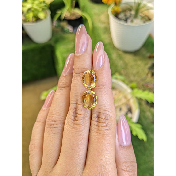 6.34 Ct.Tw. Citrine Pair from Brazil