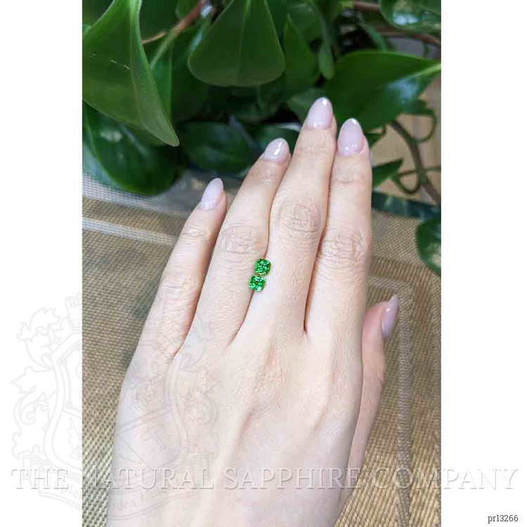 1.03 Ct.Tw. Tsavorite Garnet Pair from Tanzania