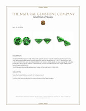 1.23 Ct.Tw.Total Carat Weight Tsavorite Garnet Pair from Kenya Appraisal