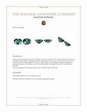 1.32 Ct.Tw.Total Carat Weight Tourmaline Pair from Namibia Appraisal