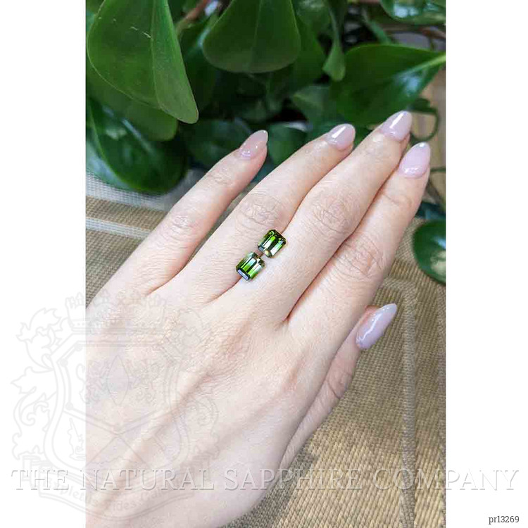 2.88 Ct.Tw. Tourmaline Pair from Brazil