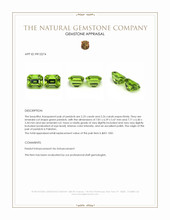 4.51&nbsp;Ct.Tw.Total Carat Weight Peridot Pair from Pakistan Appraisal