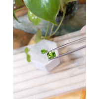 4.51 Ct.Tw.Total Carat Weight Peridot Pair from Pakistan Life Style