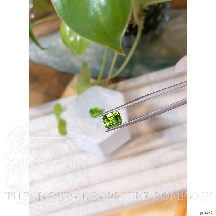 4.51 Ct.Tw. Peridot Pair from Pakistan