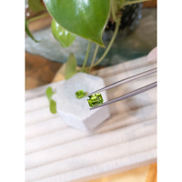 4.51&nbsp;Ct.Tw.Total Carat Weight Peridot Pair from Pakistan Life Style