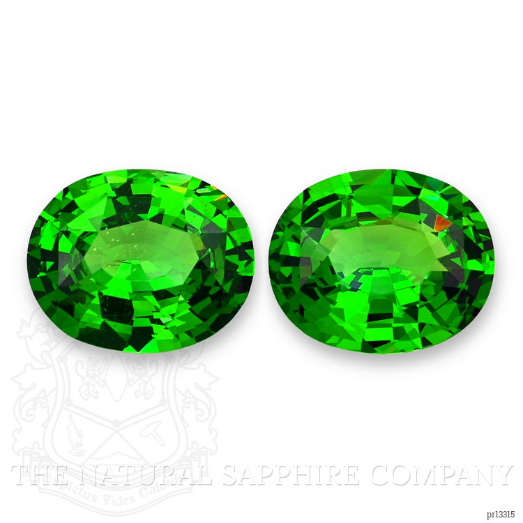 11.06 Ct.Tw. Tsavorite Garnet Pair from Madagascar