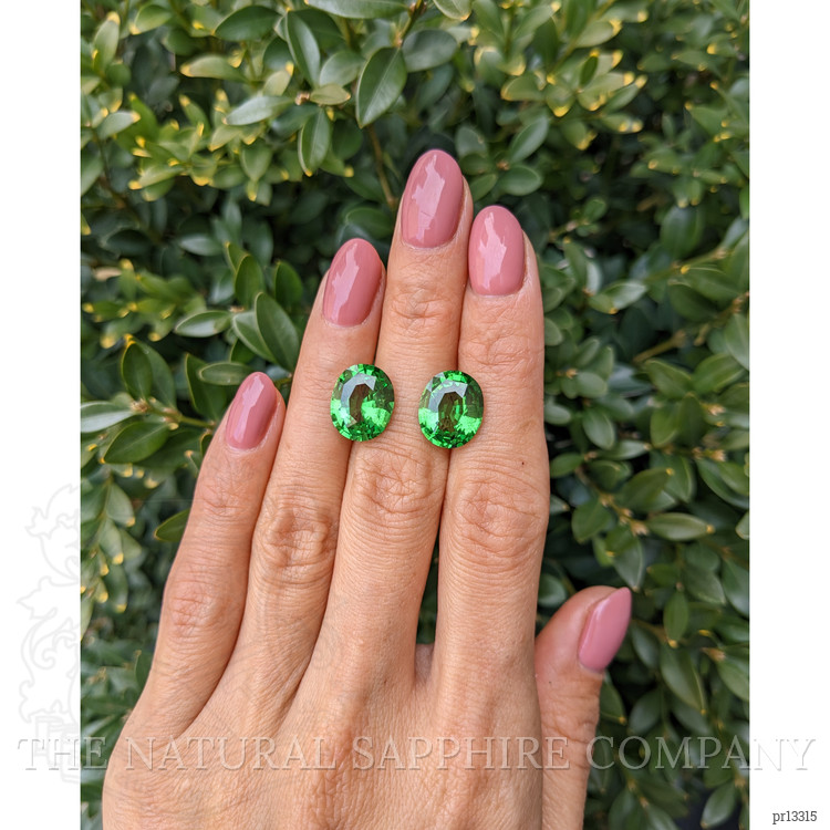 11.06 Ct.Tw. Tsavorite Garnet Pair from Madagascar