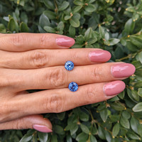 3.31&nbsp;Ct.Tw.Total Carat Weight Blue Sapphire Pair from Ceylon (Sri Lanka) Life Style