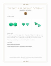 0.74&nbsp;Ct.Tw.Total Carat Weight Emerald Pair from Colombia Appraisal