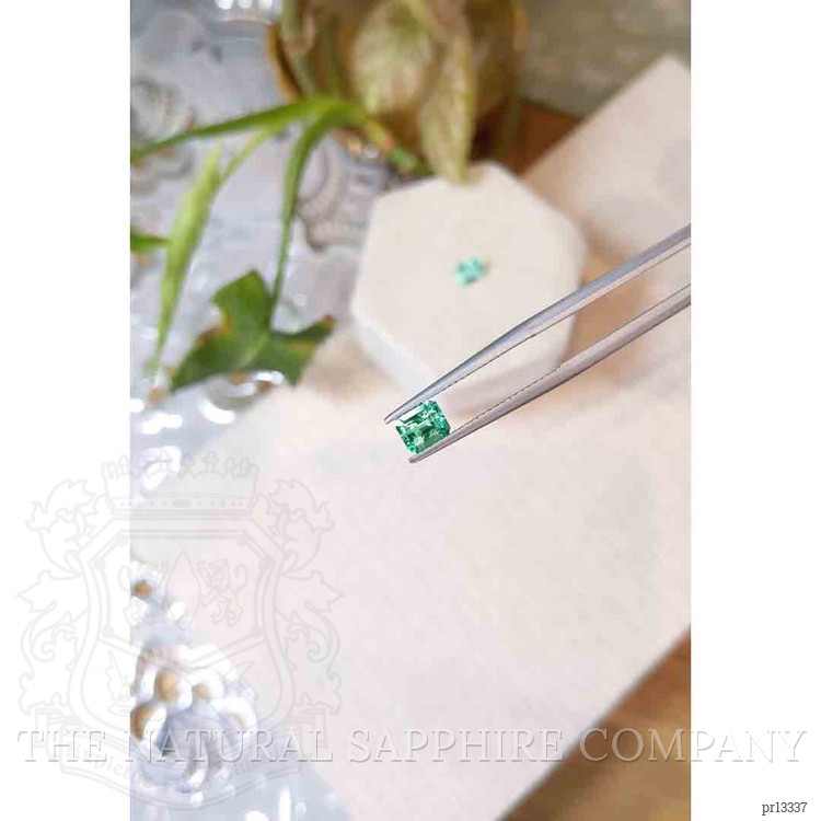 1.17 Ct.Tw. Emerald Pair from Colombia