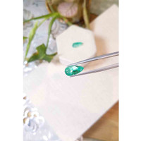 4.93 Ct.Tw.Total Carat Weight Emerald Pair from Colombia Life Style