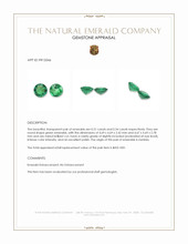 0.65&nbsp;Ct.Tw.Total Carat Weight Emerald Pair from Zambia Appraisal