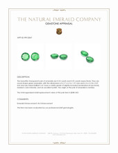 0.48&nbsp;Ct.Tw.Total Carat Weight Emerald Pair from Zambia Appraisal