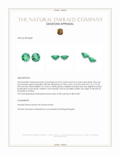 0.42&nbsp;Ct.Tw.Total Carat Weight Emerald Pair from Zambia Appraisal