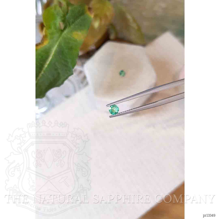 0.42 Ct.Tw. Emerald Pair from Zambia