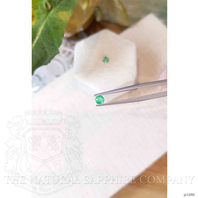 0.50 Ct.Tw. Emerald Pair from Zambia