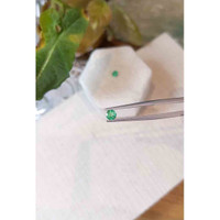 0.50&nbsp;Ct.Tw.Total Carat Weight Emerald Pair from Zambia Life Style