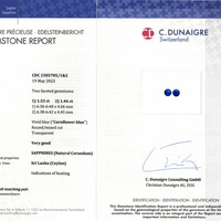 3.01&nbsp;Ct.Tw.Total Carat Weight Blue Sapphire Pair from Ceylon (Sri Lanka) Scan Report