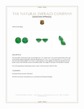 2.64 Ct.Tw.Total Carat Weight Emerald Pair from Zambia Appraisal