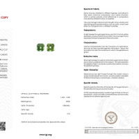 1.57 Ct.Tw.Total Carat Weight Apatite Pair from Madagascar Scan Report