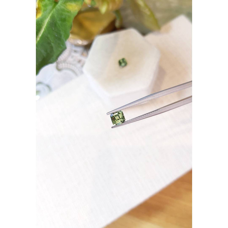 1.57 Ct.Tw. Apatite Pair from Madagascar