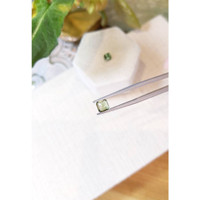 1.57 Ct.Tw.Total Carat Weight Apatite Pair from Madagascar Life Style