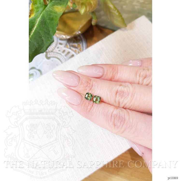 1.57 Ct.Tw. Apatite Pair from Madagascar