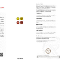 1.95 Ct.Tw.Total Carat Weight Garnet Pair Scan Report