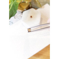 1.95&nbsp;Ct.Tw.Total Carat Weight Garnet Pair from Madagascar Life Style