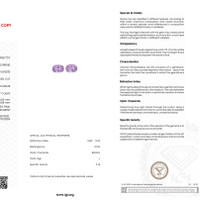 8.68 Ct.Tw.Total Carat Weight Kunzite Pair from Afghanistan Scan Report