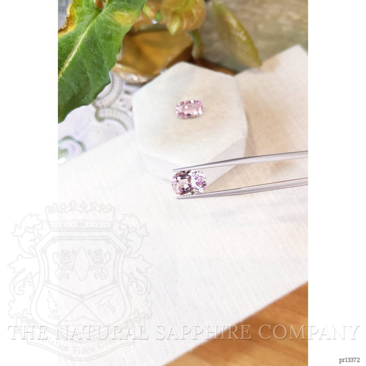 8.68 Ct.Tw. Kunzite Pair from Afghanistan