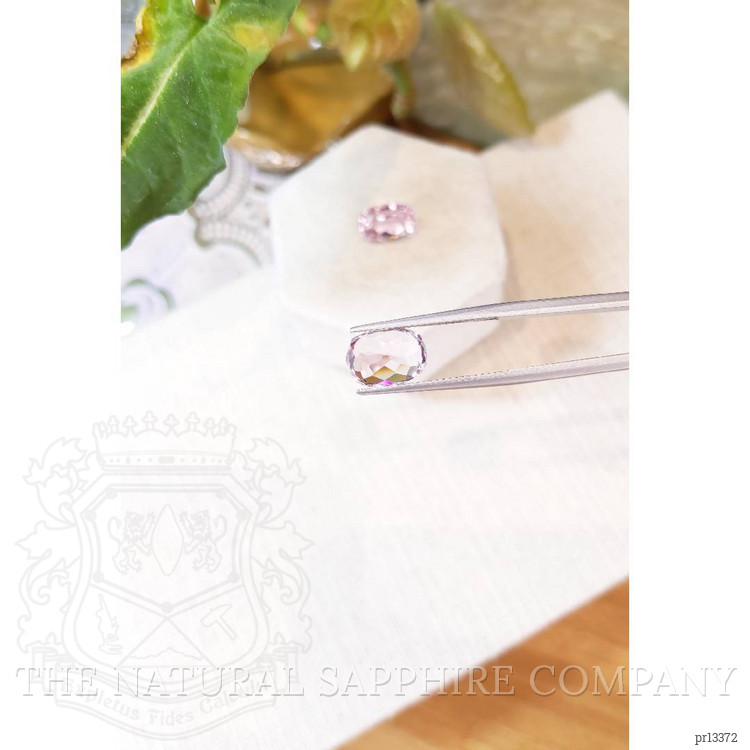 8.68 Ct.Tw. Kunzite Pair from Afghanistan