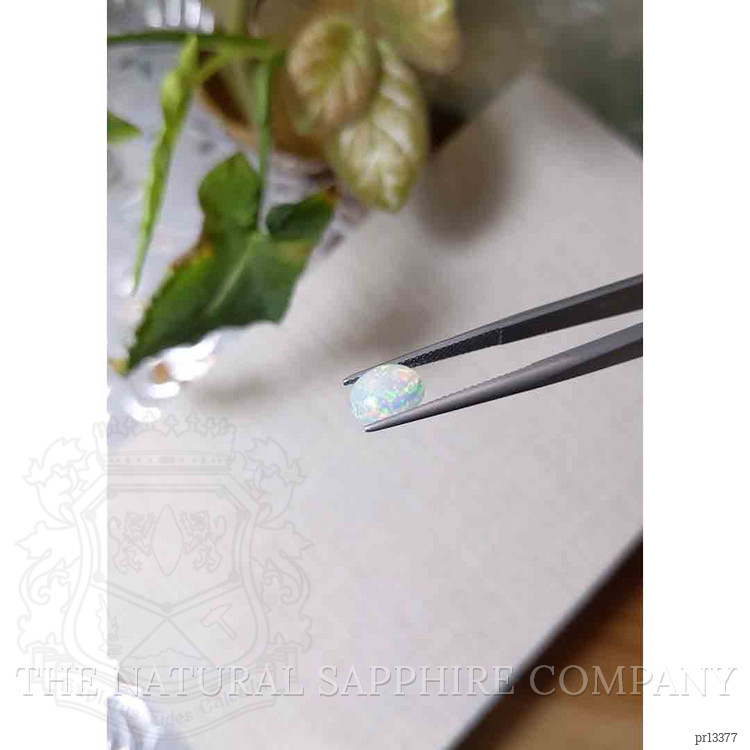 2.35 Ct.Tw. Cabochon Opal Pair from Ethiopia