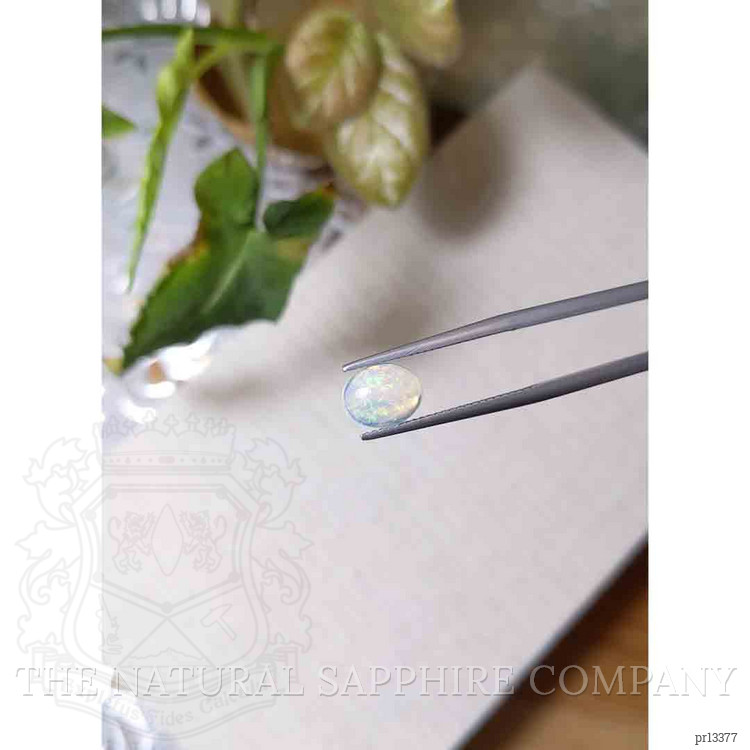 2.35 Ct.Tw. Cabochon Opal Pair from Ethiopia