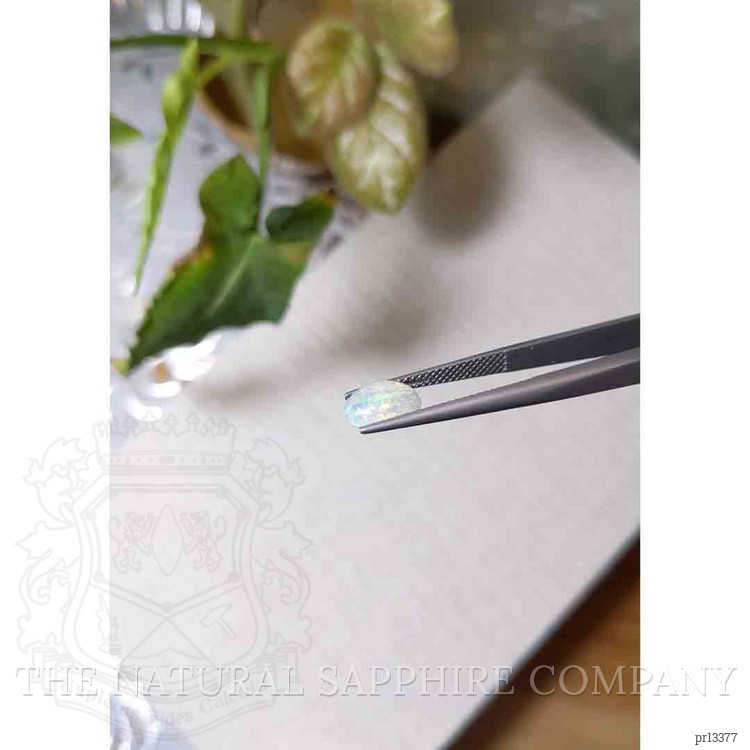 2.35 Ct.Tw. Cabochon Opal Pair from Ethiopia